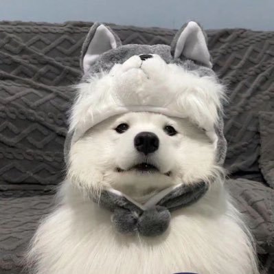 4hasubortor's profile picture. 𓂃 personal account 𓂃 ꒰ྀི⸝⸝@firstone_wnk @netsiraphop @Williamjkp1 @oueiija @pavelphoom ⸝⸝꒱ྀི