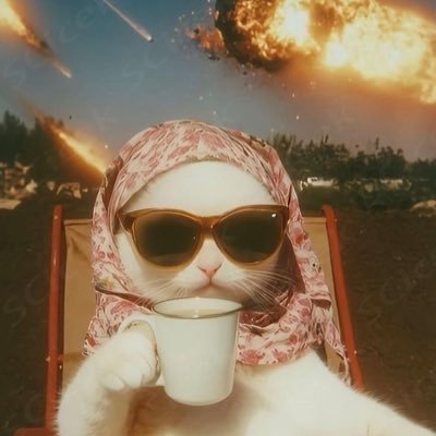 cam499_'s profile picture. 