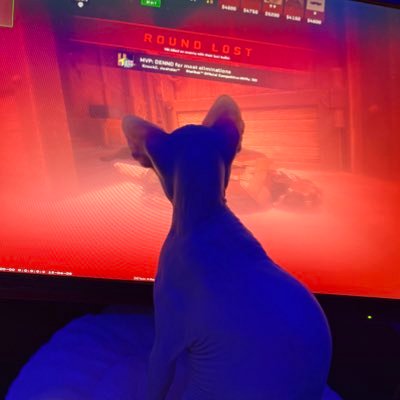 JrossCS2's profile picture. Lvl 10 CS2 Pugger and Open phenom. Washed up Unc