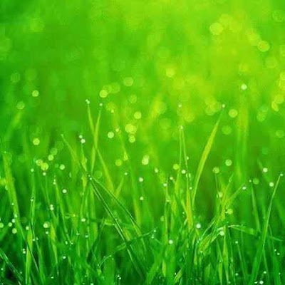 akshay2518's profile picture. Unfiltered man