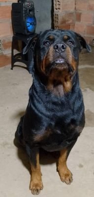 Martiniano1613's profile picture. 