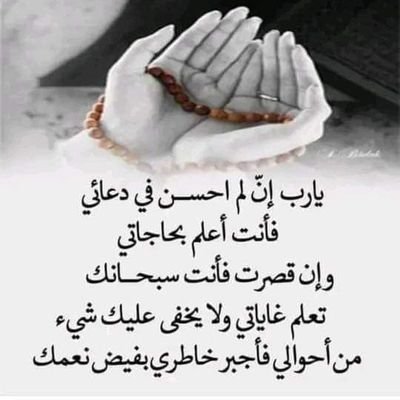 mdlfrny355198's profile picture. 