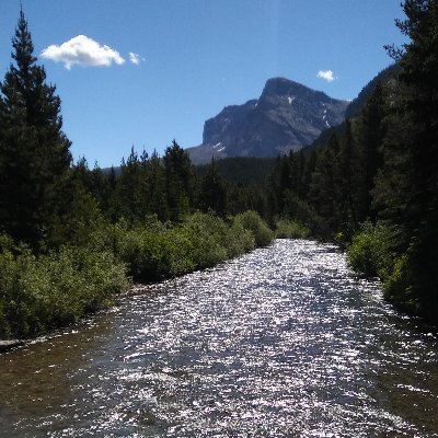 Ba_____aa's profile picture. Humor, knowledge, discourse welcome.  Insults not so much.  Blocked immediately (if not sooner😋).  I block all accounts that require "verified" reply's.