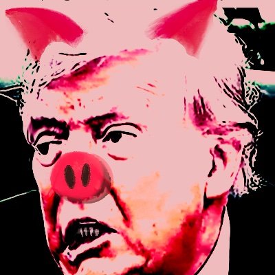 bmoreviachicago's profile picture. Alas I am just star dust. I hope for peace and tribunals. 22K followers across various platforms starting in Feb 2025. Actions, Art & Silliness for ‘Merica!🇺🇸