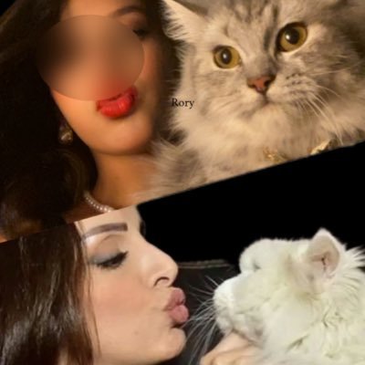 7anghami's profile picture. Alhilal & Angham my fav