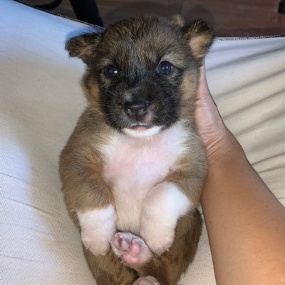 mjrsll's profile picture. para sa catchers 🫀