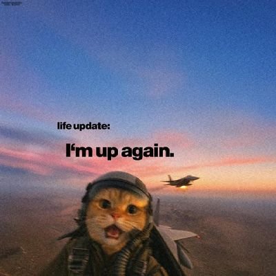 ahmedharrabi15's profile picture. 