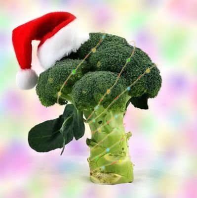 beahnsw's profile picture. 다가오는 행복을 힘껏 끌어안을 수 있기를.