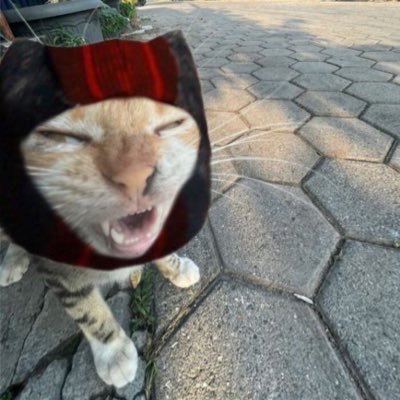 v1ccttrr1a's profile picture. entertain my faith