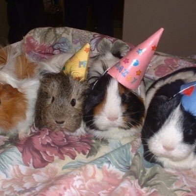 knglawliet's profile picture. 