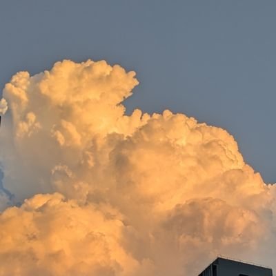 Hanci16147426's profile picture. 