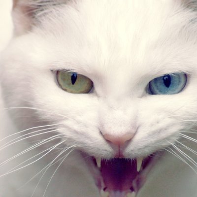 AshokAbarajitha's profile picture. 