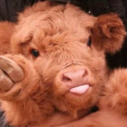 M1M1KYU_'s profile picture. Genderfluid Femme ◇ 22 ◇ 
♡ he/they/she ♡