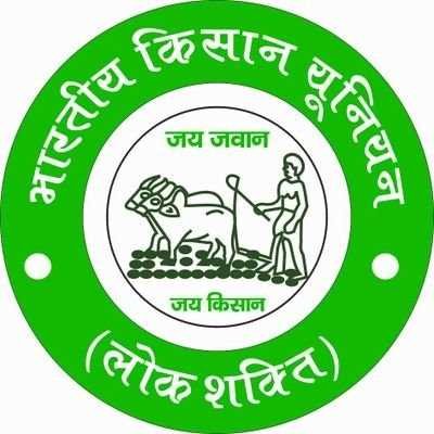 umarsaifi173101's profile picture. 