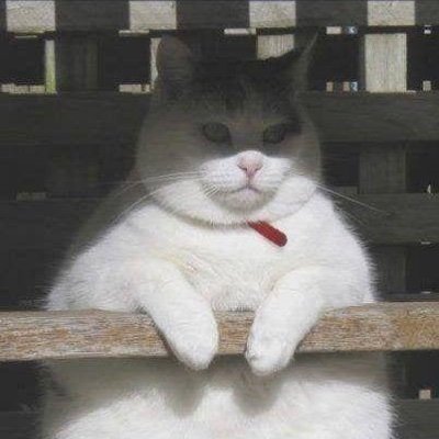 miathermopollis's profile picture. 