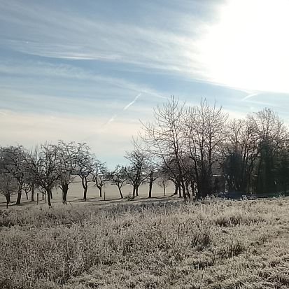 iisx188567's profile picture. 