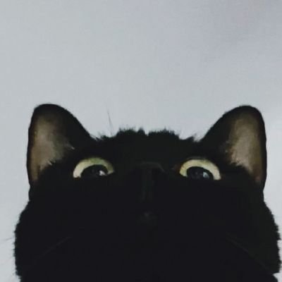 Babe_itsyou_'s profile picture. 🖤🤍