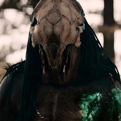 itsniamhie's profile picture. ∴