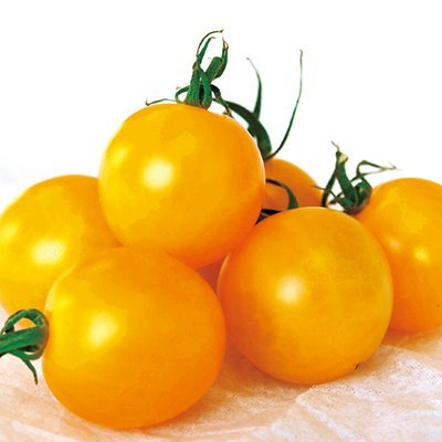 Pomodoro_Penne's profile picture. Perfect Beauty, Perfect Flavour,
It brings good fortune if you are grateful.