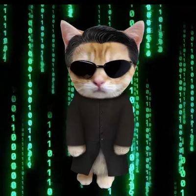 ToshiMilko's profile picture. https://t.co/1A1rDizvP8