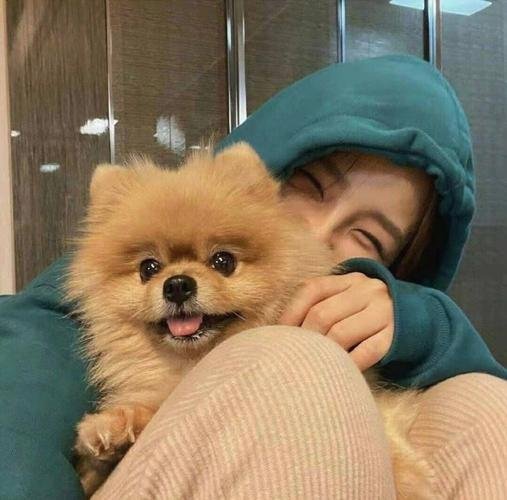 Abhishe67893307's profile picture. 