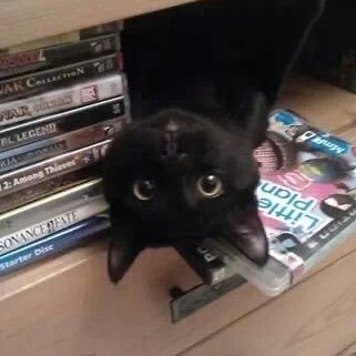 _AntennaTower's profile picture. How could I?