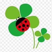 dony_tl_8's profile picture. timelesz🤍 てらしのは心のオアシス🩵🤍