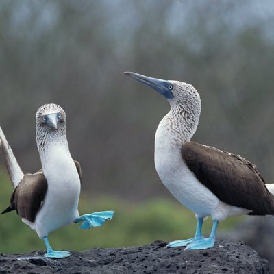 squirrelypocket's profile picture. other account got nuked so here we are