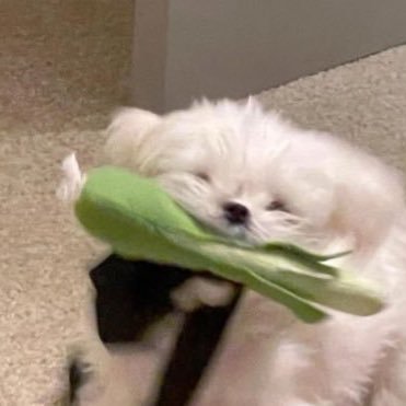 thisispearr's profile picture. 