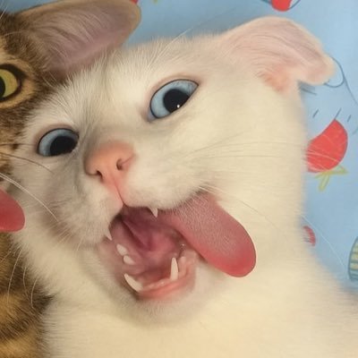 livingwithjayyy's profile picture. I'd kill myself for you