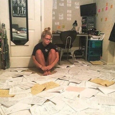 studigabi's profile picture. 