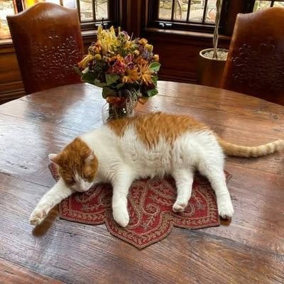 MAJORONYEMA's profile picture. Cyber Security Analyst/Engineer