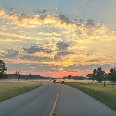 WasifSharif1's profile picture. 