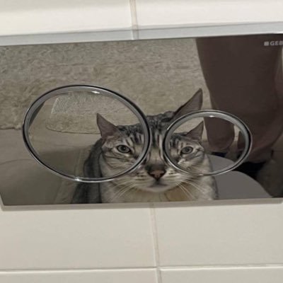 Bbestaaa's profile picture. my headliner @pledis_17 𖢻 | dreamer @official_jo1 ✮ | shulun k2ken ohmfirst superthai xebis opepae | @minysvm @EMPRESS__TH @XGOfficial_