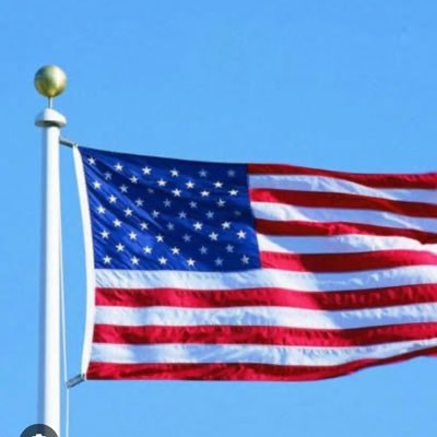 DanScavino398's profile picture. White House Deputy Chief of Staff, Director of White House Personnel  and Assistant to the President.