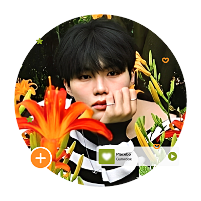 dlostfile's profile picture. ˚⋆  this  strawberry  garden  is  open  daily  ——    you  can  visit  from  8  to  23!  🧚🏻  please  do  mention  after  DM  📮