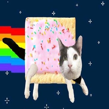 skoochie_'s profile picture. backup @_skoochie | sherman#8096 | #kwangrindset #Natitude #ILoveGhostsOfTheDeep