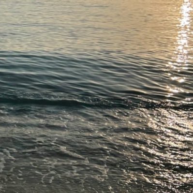 l8qiiz's profile picture. 