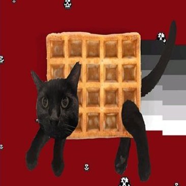 _skoochie's profile picture. backup 4 @skoochie_ | sherman#8096