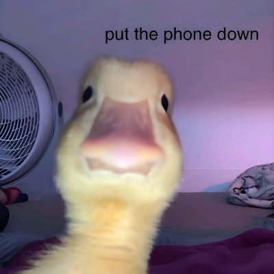 themami007's profile picture. funny people and animals videos with a bit of humor.