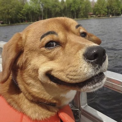 dogwizardx's profile picture. Nov 27. 7:00pm @pumpsadfnf