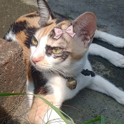 mahikachikuuu's profile picture. bhaage re mann~🕊🖤

Stans |~𝗧💜𝗬𝗕𝗔𝗘❥ 𝟯~|