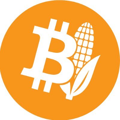 bitkorn's profile picture. 