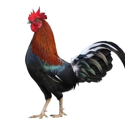 AguyUmightKnow1's profile picture. 