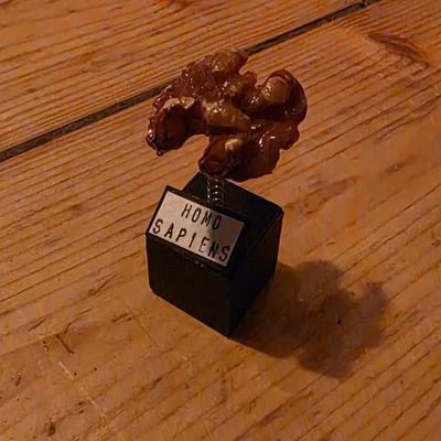 flippyfloppy52's profile picture. 1 in 8 Billion | Traveling at Celerity in Spacetime | PhD (Doctor of Philosovesting) | Hiding from HR Teams (and my colleagues)