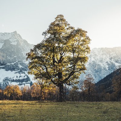 EchostaticPhD's profile picture. Electrical Engineer, Ham Radio Operator, Traveler, Idealist, and Skeptic.