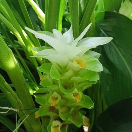 Sahadakeela's profile picture. ଖାଣ୍ଟି #ଓଡ଼ିଆ ।। ଗର୍ବିତ ଭାରତୀୟ🇮🇳 ।। #ଜୟଜଗନ୍ନାଥ🙏।। #ଜୟଶ୍ରୀରାମ 🙏।। ଭ୍ରମଣ ପ୍ରିୟ ।। Geopolitics ।।