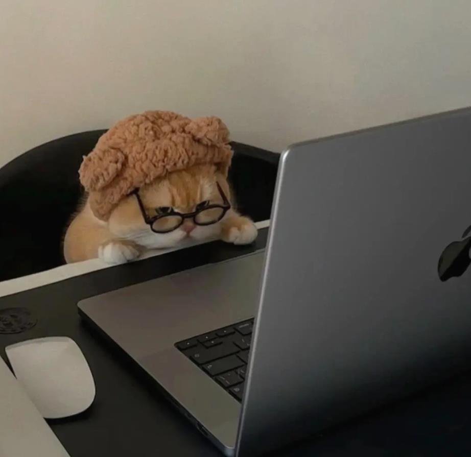 RAMSHAR36521590's profile picture. 32歳 / 160cm / 50kg / 独身 / 時々COSつくる / よくカフェにいます