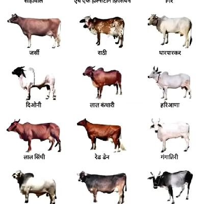 SACHINY0795's profile picture. $