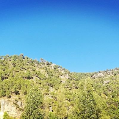 jdba80's profile picture. 